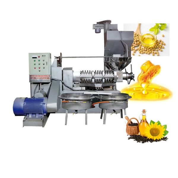 Quality Durable Screw Oil Press Machine Cold Pressed Peanut Oil Machine High Efficiency wholesale