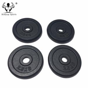 Adjustable Cast Iron Weight Disc Dumbbell Spinlock Set