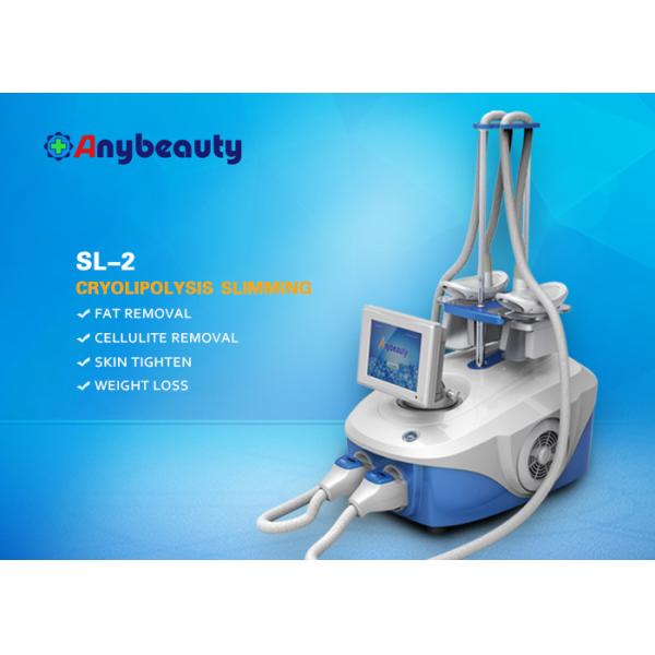 Quality Fat Freezing Cryolipolysis Slimming Machine Cold Body Sculpting Machine FDA Approval wholesale