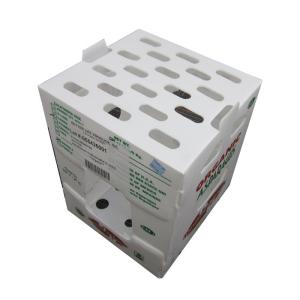 Polypropylene Vegetable Packaging Box Customized PP Corrugated Plastic Box