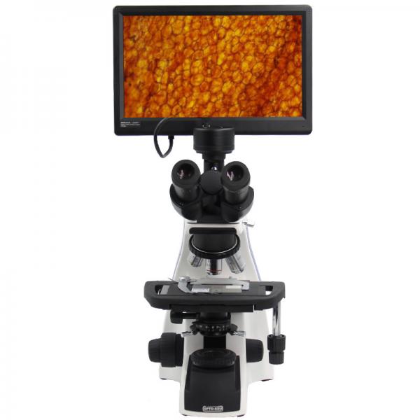 Quality Biological Compound Video Digital Microscope / 12.5" Lab Trinocular Profesional Pantalla Lcd Microscope wholesale