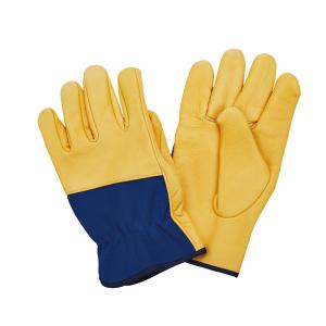 China LC10011 Model Name Cow Grain Leather Working Gloves in Golden Color for Driver on sale