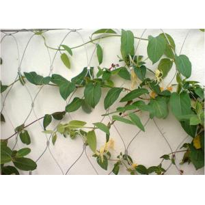 Building Surface Wire Rope Plant Trellis , Inox Flexible Wire Mesh Trellis