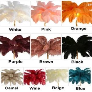 180cm Ostrich Feather Lamp