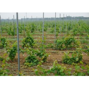 Corrosion Resistance Vineyard Trellis Posts 2.0mm Thickness For Grape Garden