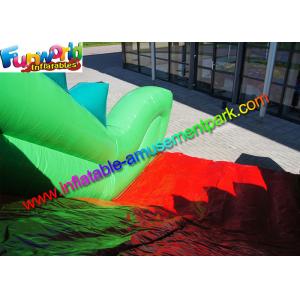Adults Inflatable Crocodile Slide Commercial Outdoor Dry Slide Giant