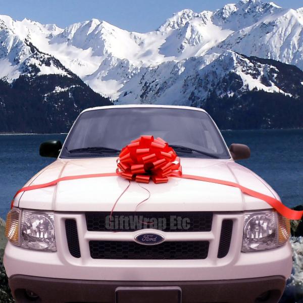 Quality 15“ large size wedding Pom Pom bow in thick PP or PET materials for decoration on a car wholesale