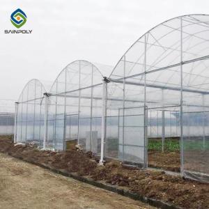 Cheap Agricultural Polytunnel Polyethylene Plastic Sheeting Greenhouse Multi Span for sale