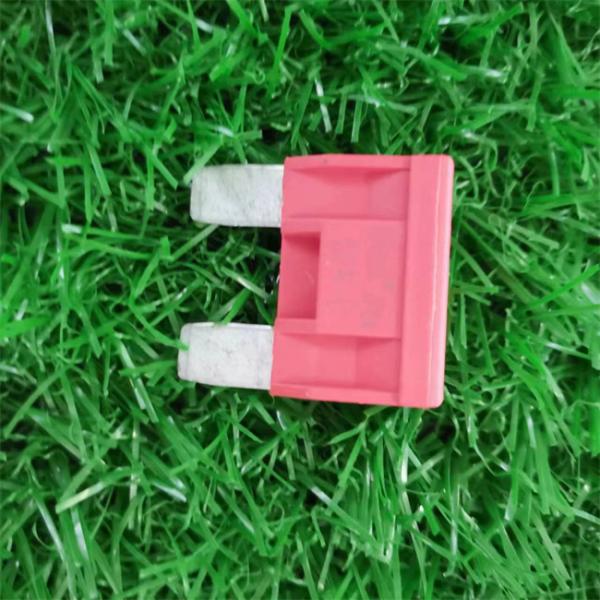 Low Voltage Automotive Blade Fuse For Cars Trucks UL Certified