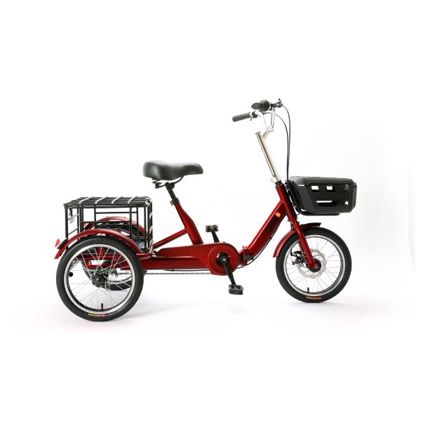 Quality 16 Inch Mini Cargo 3 Wheel Tricycle Beautiful Design Carbon Steel wholesale