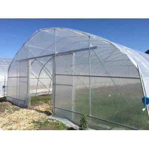 Baolida 8m x 12.5m Tunnel Greenhouse with 3.5m Height for Vegetables