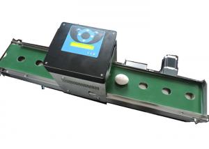 Easy Operating Egg Stamping Machine With Computer Control Shuttle Conveyor