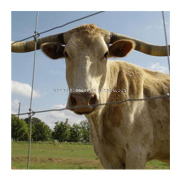 Fixed Knot Woven Wire Field Game Fence for Agriculture Field Decoiling Service