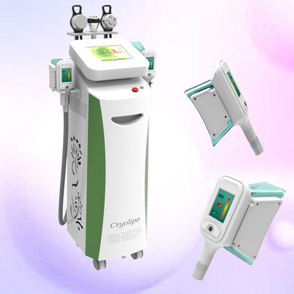 Quality Pulse Cryolipolysis Slimming Machine / Cryolipolysis Beauty Machine with rf and cavitation wholesale