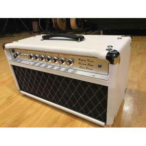 Grand ODS100 Overdrive Special Guitar Amplifier Dumble Clone 100W with Kinds