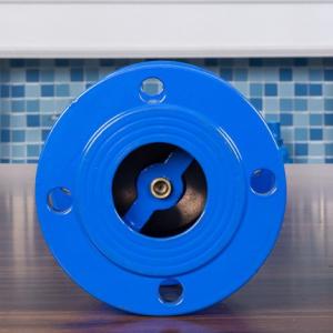 Ggg40 Muffler Check Valve Double Flange Dn100 No Return Check Valve