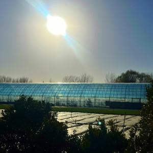 Double Layer Agricultural Intelligent Sunlight Greenhouse with Insect Proof Net