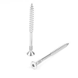China 100mm Stainless Steel Double Thread Countersunk Torx Head Drywall Screw on sale