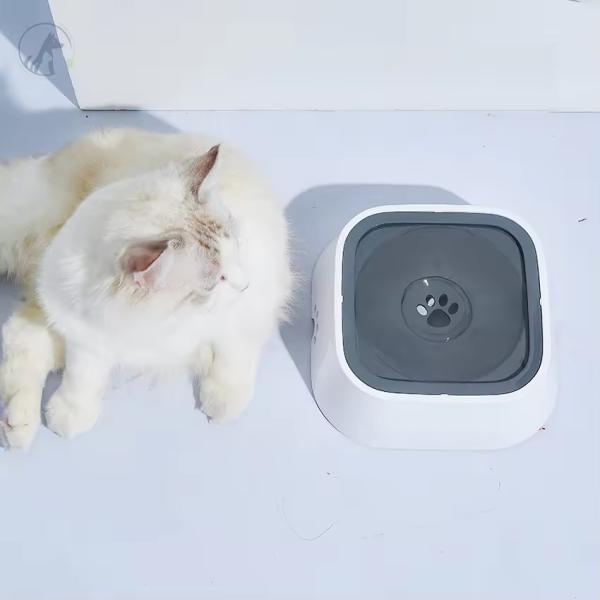 PP Dog Drinking Water Bowl 2.4L Slow Drinking Dog Bowl Splash Proof