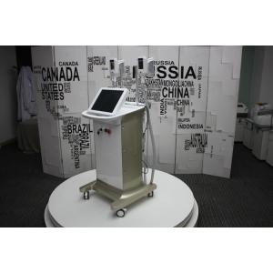 China fat freezing cryolipolysis slimming machine for professional body contouring painless weight loss new tech on sale