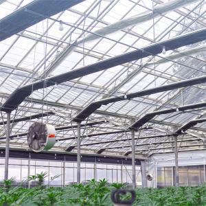 Multi-Span Venlo PC Sheet Polycarbonate Tunnel Greenhouse Blackout Light Dep