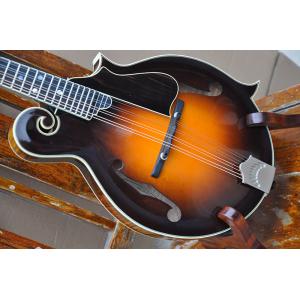 Handmade custom advanced 8 strings QT-F5 mandolin electric guitar with ebony