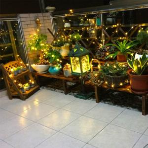 Commercial Exterior Decorative LED String Lights Warm White Timer Remote Control