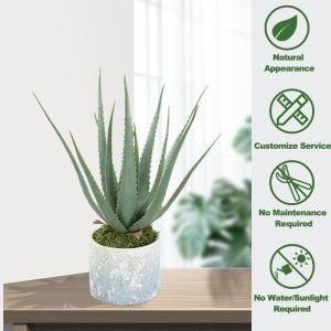 25cm High Plastic Artificial Aloe For Dining Room Holiday Decor
