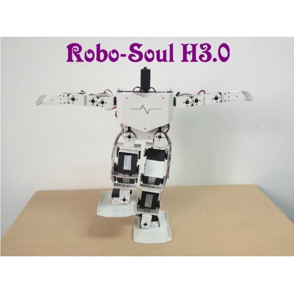 Quality Robotics equipment Large torque digital servo Support 17 DOF Humanoid robot wholesale