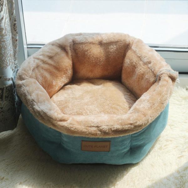 sturdy dog beds