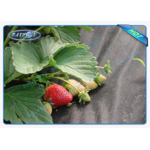 Black Permeable Non Woven Landscape Fabric For Ground Control / Strawberry