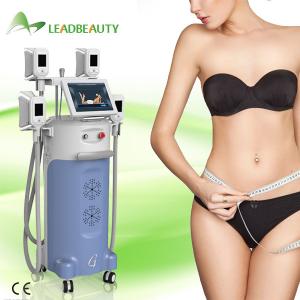 China High Performance Fat Freezing body shaping Cryolipolysis slimming machine on sale