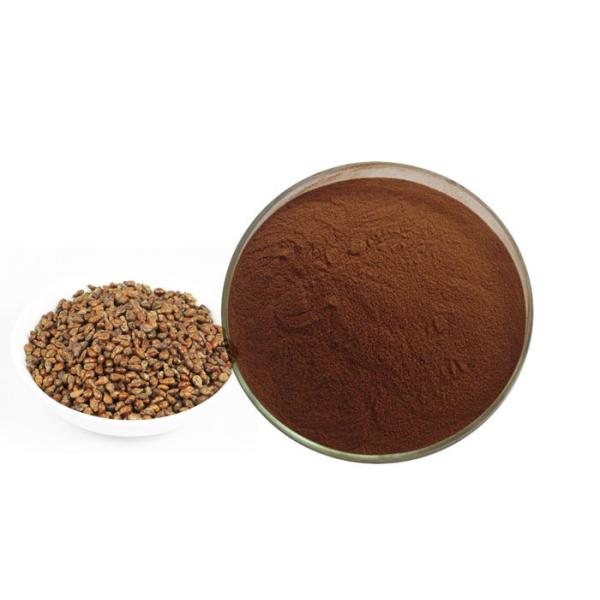 Quality Proanthocyanidins 95% Natural Plant Extract Anti Oxidation Solvent Extraction wholesale