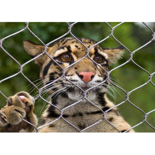 Sturdy Stainless Steel Wire Rope Mesh Panels For Secure Installations