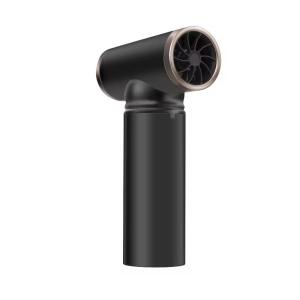 Travel Salons 200W Wireless Hair Dryer with Hot Nozzle and Negative Ion Features