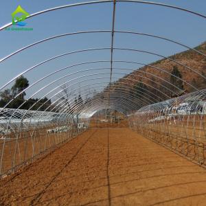 10-100m Length Broccoli Polytunnel Foil Greenhouse With Metal Frame