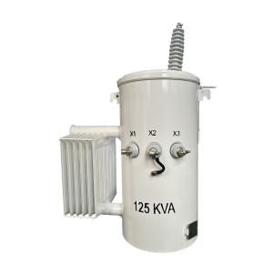 125KVA Single Phase Pole Mounted Transformer Oil Immersed Distribution 34.5KV To