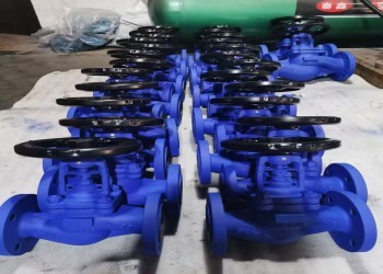 Quality Manual Gate Valve Single Wedge DN10-DN50 API ANSI DIN wholesale