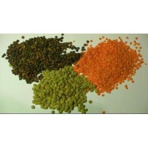 Black Lentil Dal Color Sorter 8 chutes 512 Channels with LED variable light