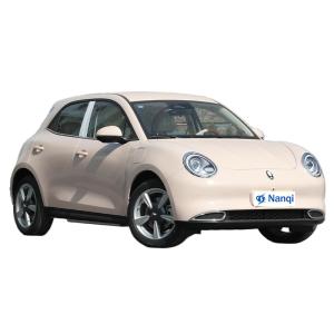 ORA Good Cat Pure Electric 5 Seater Hatchback Cars High Class And Exquisite