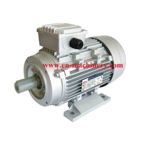 AC/DC Synchronous Generator Motor for Crane(CE, TUV, SGS) INVERTER DUTY MOTOR