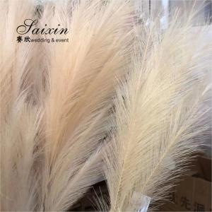 White Beige Pampasgras Event Decor Wedding Artificial Flowers For Tables