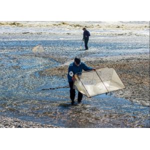 10meshx10mesh Alloy Whitebait Mesh For Repairing Whitebait Nets Or Making