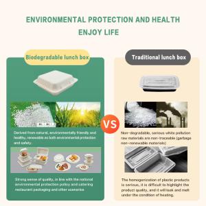 Bagasse Clamshell Biodegradable To Go Box Compostable Lunch Box