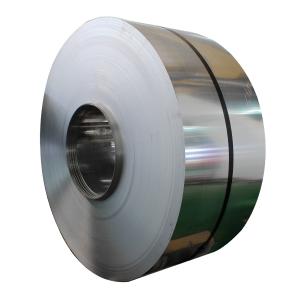 Galvanized Steel Strip Coil 3-10MT 270-500N/mm2 Tensile Strength Standard Export