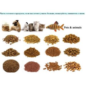 Fish Catfish Tilapia Feed Pellet Making Processing Production Line Equipment for