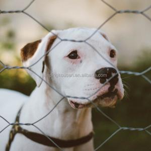 Fixed Knot Deer Fence Farm Waterproof Hot Dipped Galvanized Animal Hinge Joint