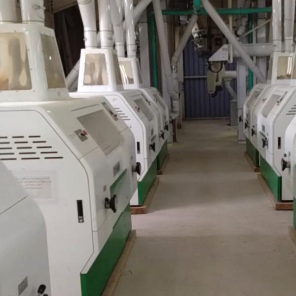 Quality factory low price China Grain Maize Wheat Corn Roller Flour Milling Mill wholesale