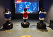 AR INTERACTIVE BOXING FOR BOXING GYMS