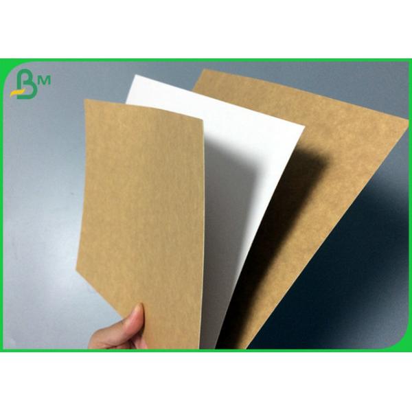 Eco-friendly Food Grade Board 250g 270g 300g For Lunch Box Raw Material Eco-friendly Food Grade Board 250g 270g 300g For Lunch Box Raw Material